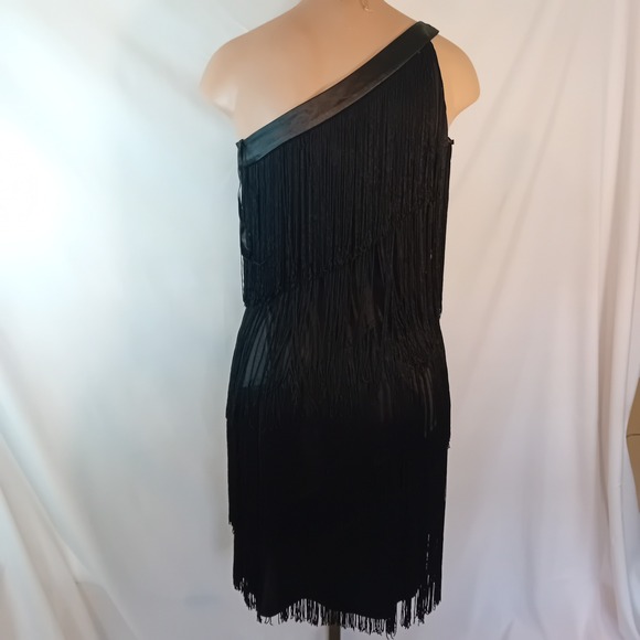 Aidan By Aidan Mattox Fringe Dress One Shoulder Cocktail Party Flapper 4 READ - Picture 5 of 16